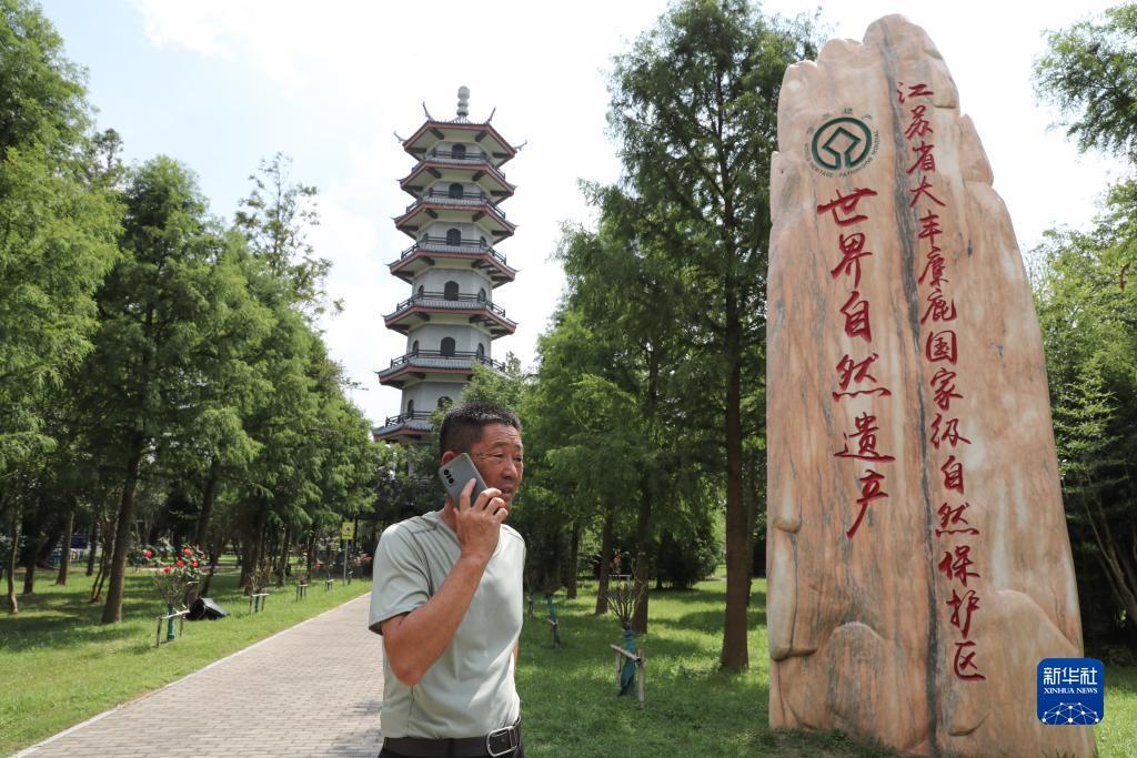七大娱乐游戏平台
